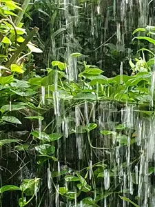 Annelies 10 Achter de waterval